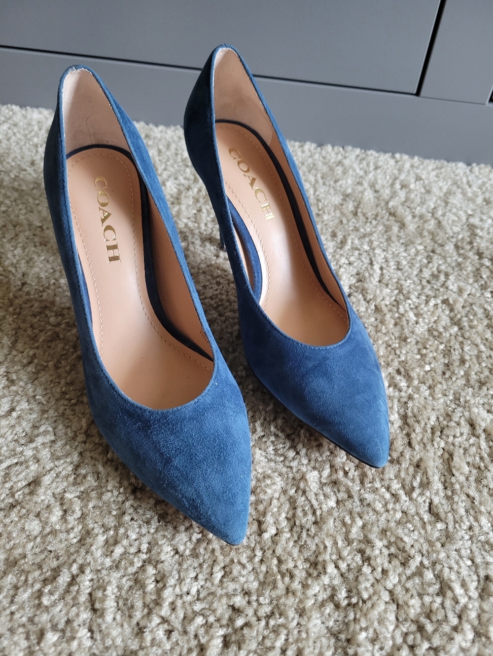 Coach Skyler Pumps -Suede Pointed-Toe Blue